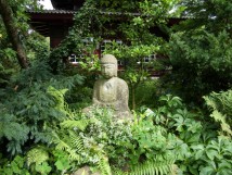 Buddha klein